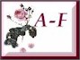A-Fbutton.jpg (3476 bytes)